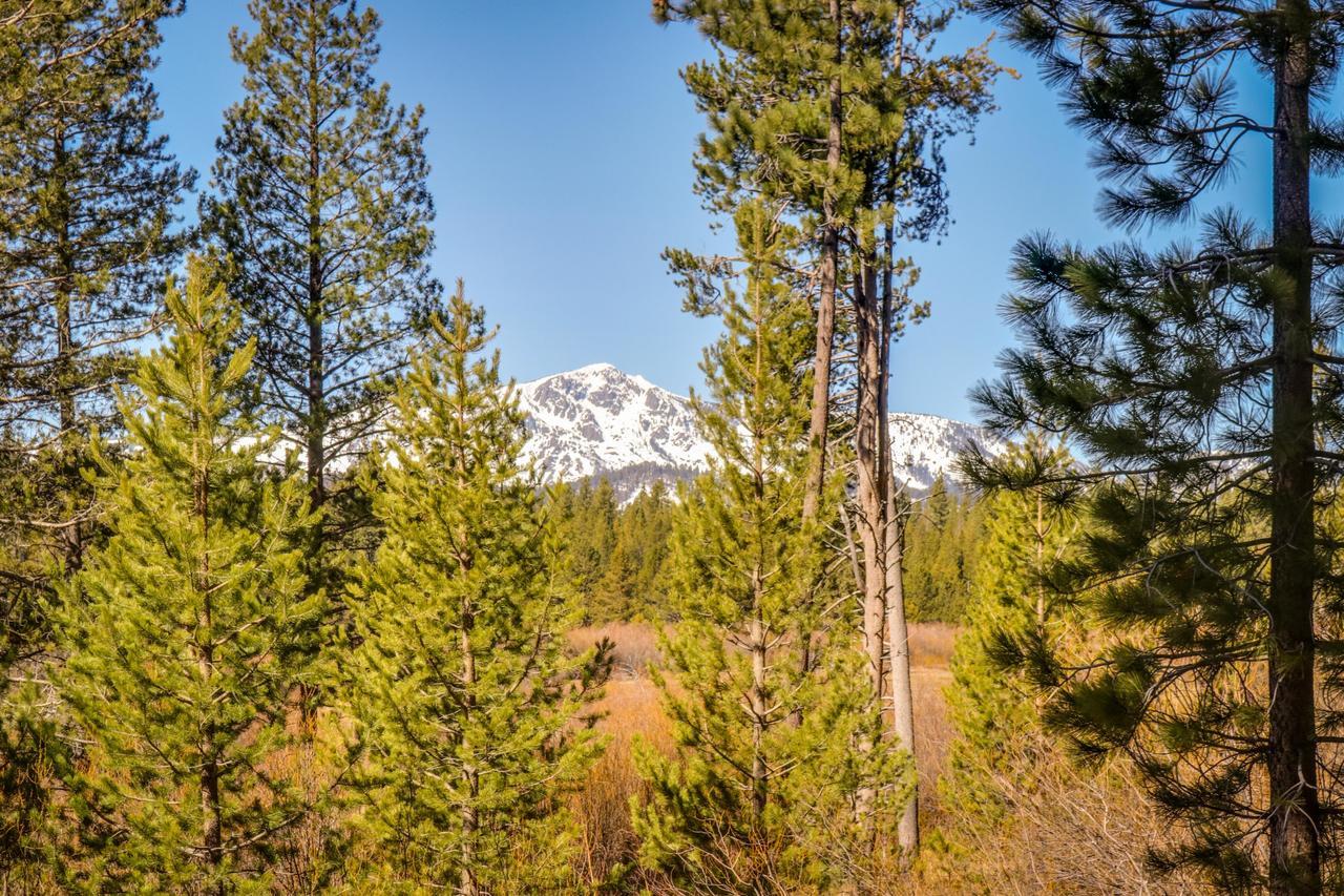 Villa Cozy Seclusion South Lake Tahoe Exterior foto